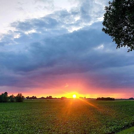 Villa Siedlisko Tafle Chorazowka Esterno foto