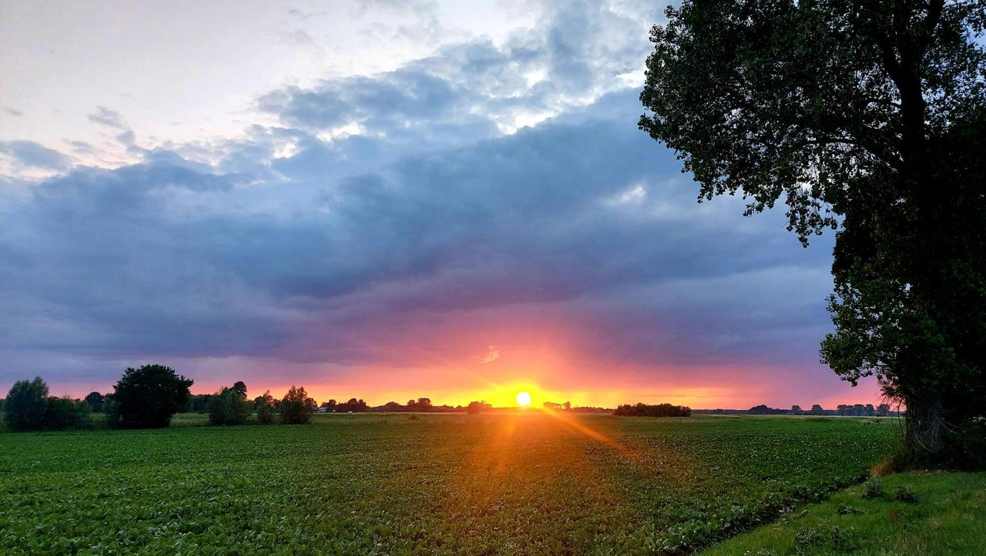Villa Siedlisko Tafle Chorazowka Esterno foto
