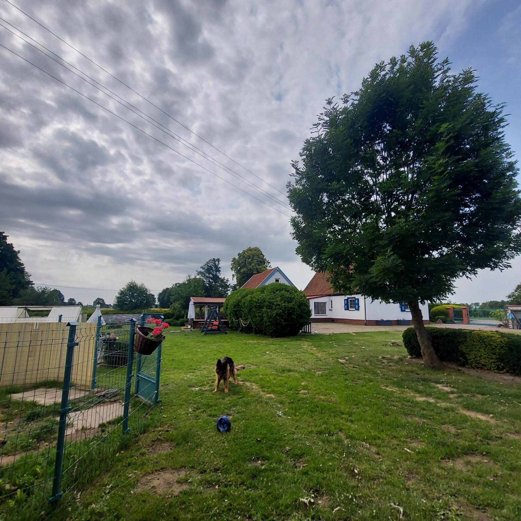 Villa Siedlisko Tafle Chorazowka Esterno foto